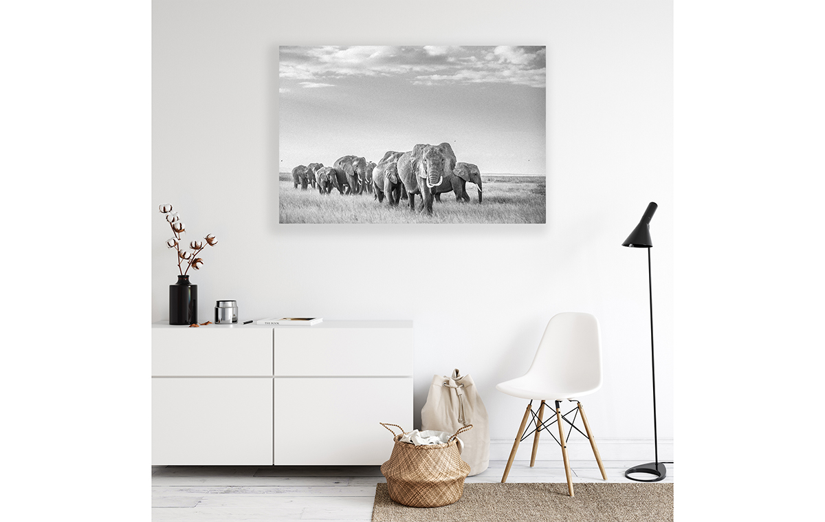 Dezibel Print Acoustic Wall Panel