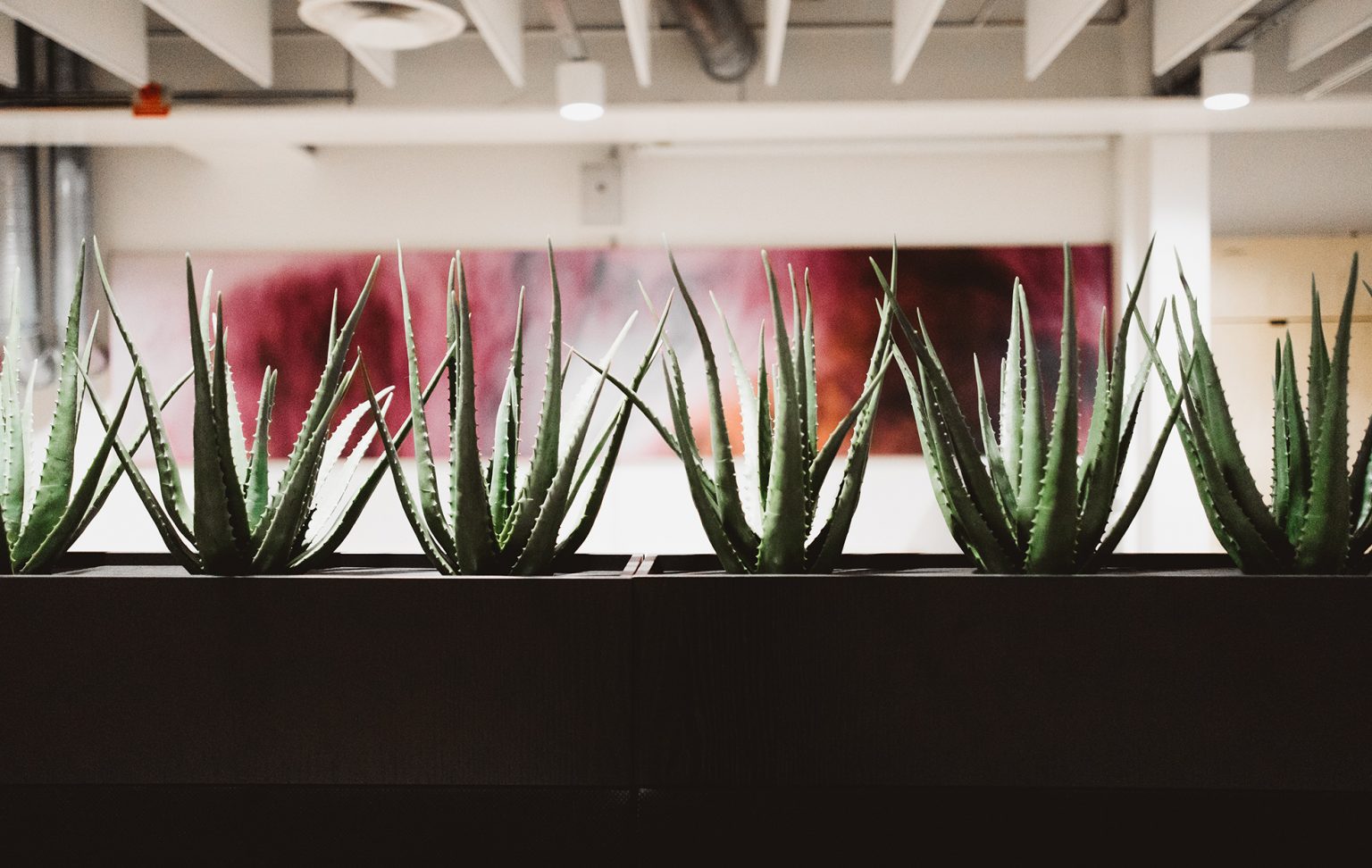 Zorla noise reduction planter