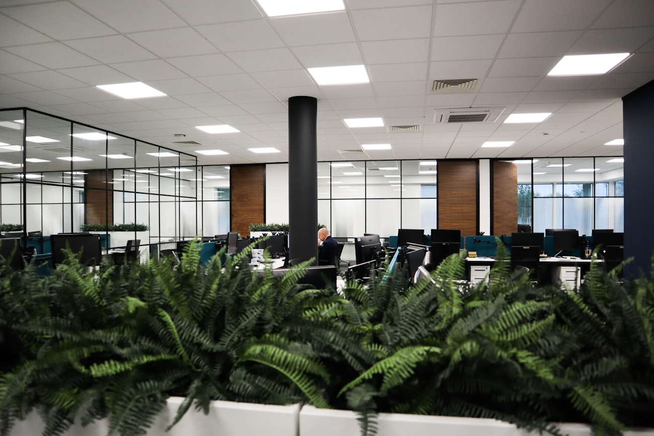 haiken webb chairs