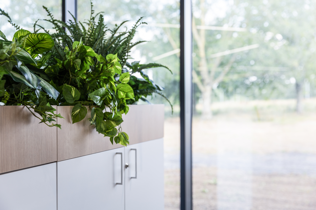 boston scientific flexible office