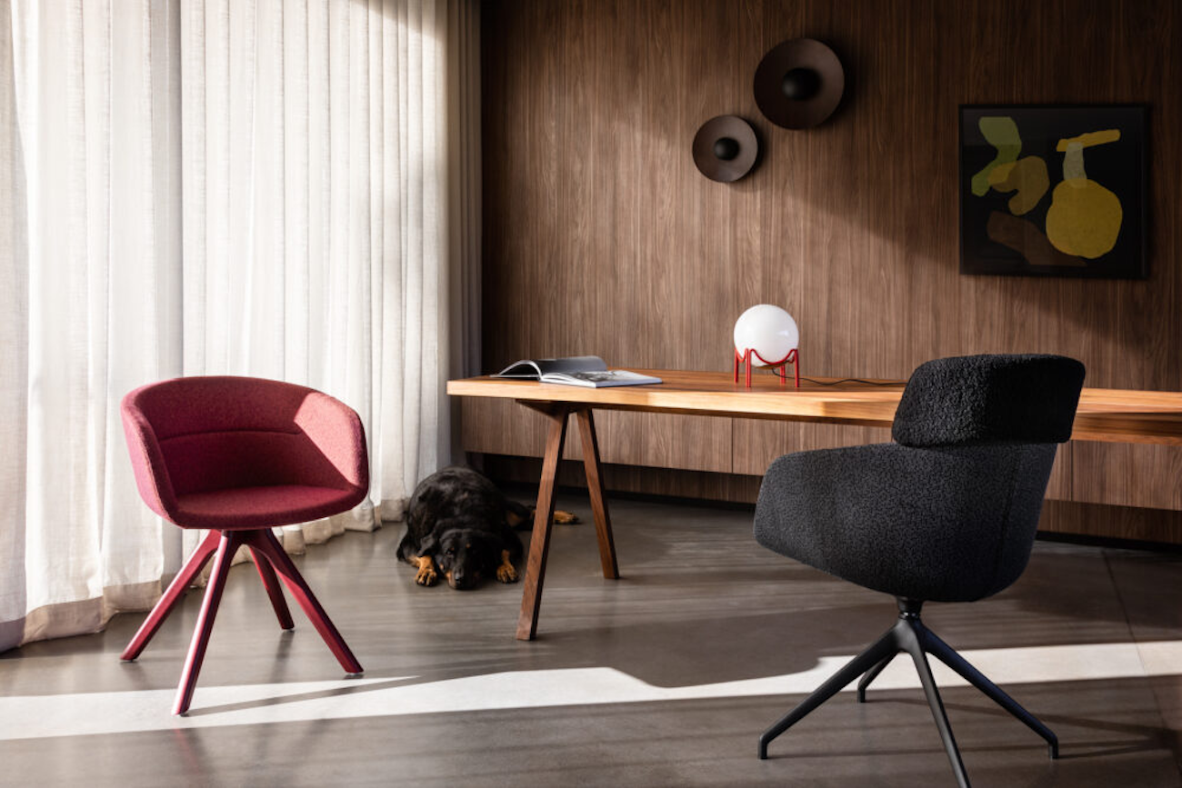 Curves of Creativity: Reimagining Office Spaces with Fluid Design